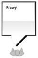 PRAWY.png