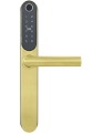 BL8-H2-GOLD-79068.jpg