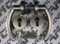 30810954.jpg